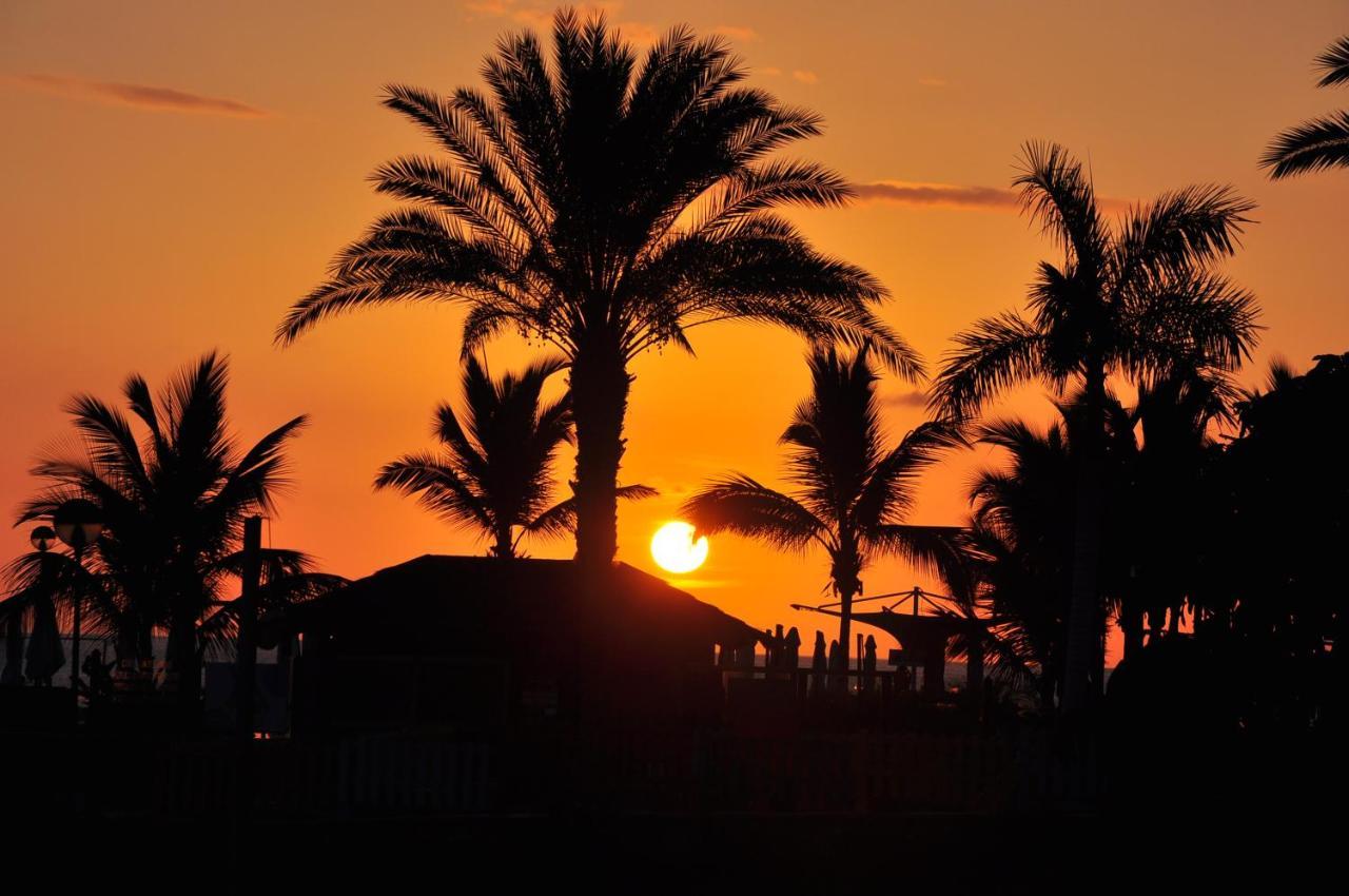 B&B Paraiso Del Sol 마스팔로마스 외부 사진